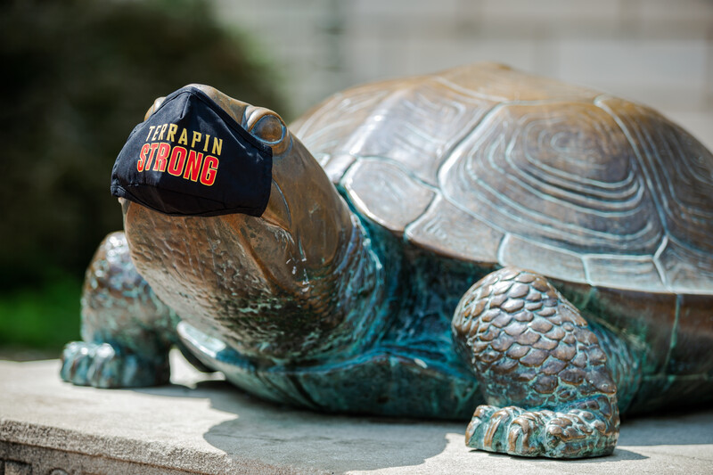 TerrapinStrong mask on the columns of McKeldin library